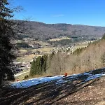 Ecrain Montagnard Lélex