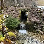 Ecrain Montagnard * Lélex